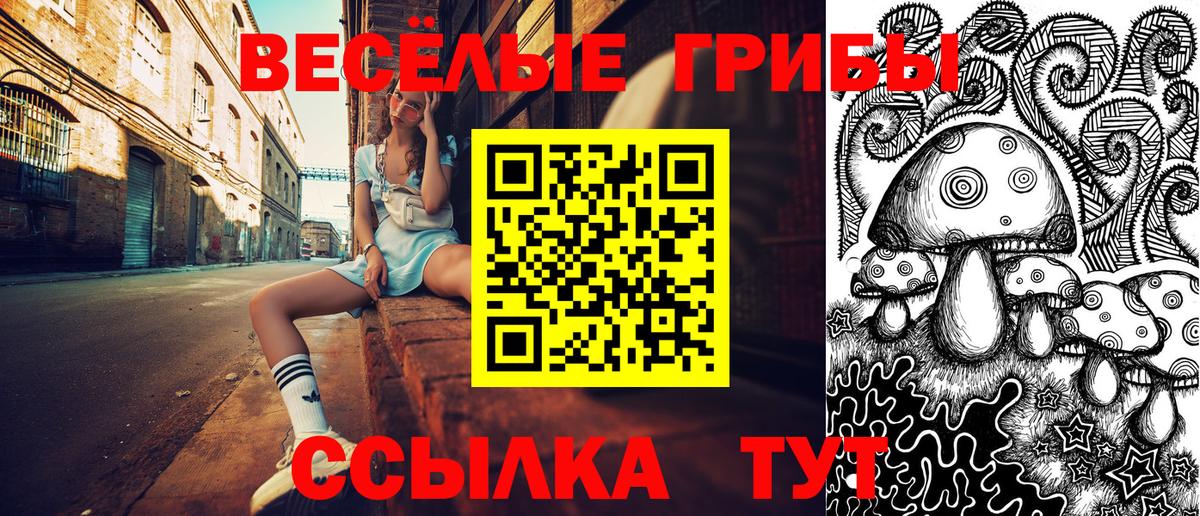 Кашира  Псилоцибиновые грибы Magic Shrooms  Псилоцибиновые грибы прущие грибы  Вход с VPN 