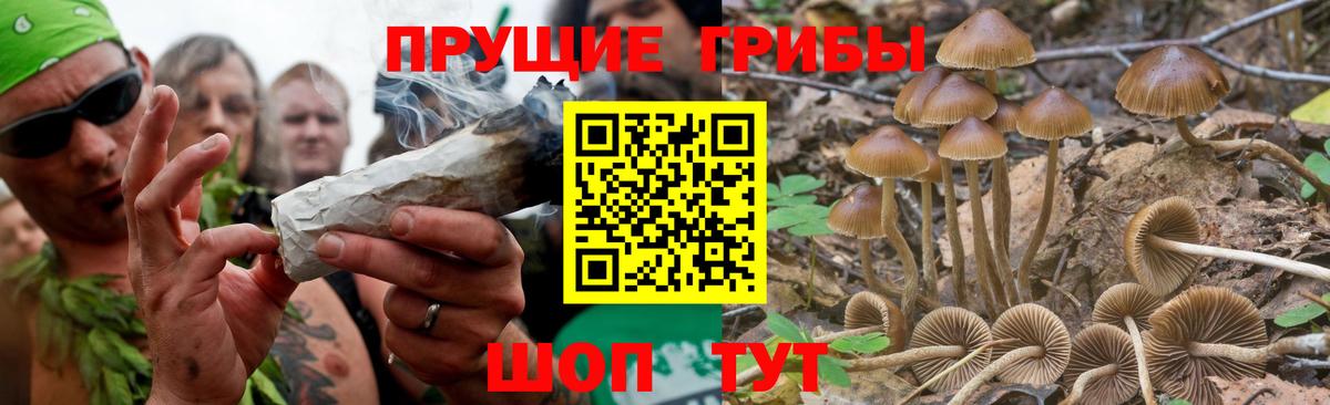 Псилоцибиновые грибы MAGIC MUSHROOMS Кашира